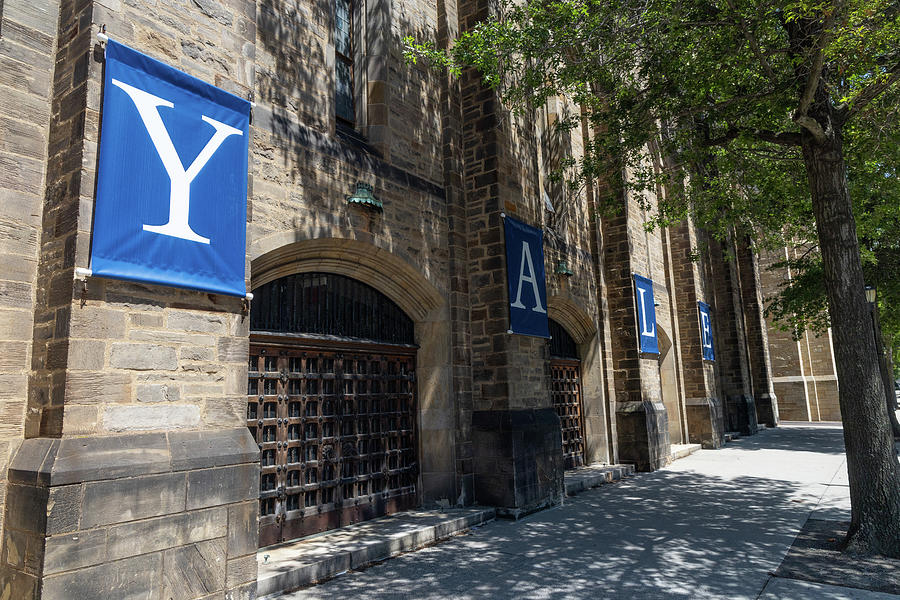 Yale banners at Yale University Photograph by Eldon McGraw