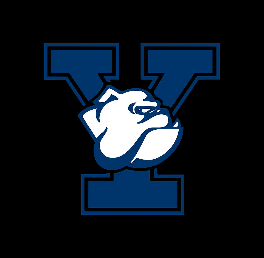 Yale Bulldogs logo Digital Art by Red Veles