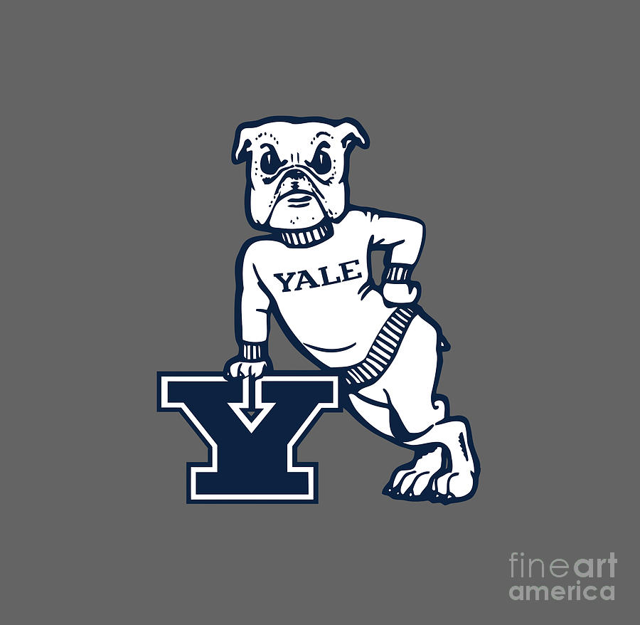 Yale Bulldogs Logo Digital Art by Sport Portal - Fine Art America