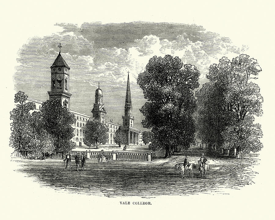 Yale College , Yale University 19th Century Drawing by Duncan1890