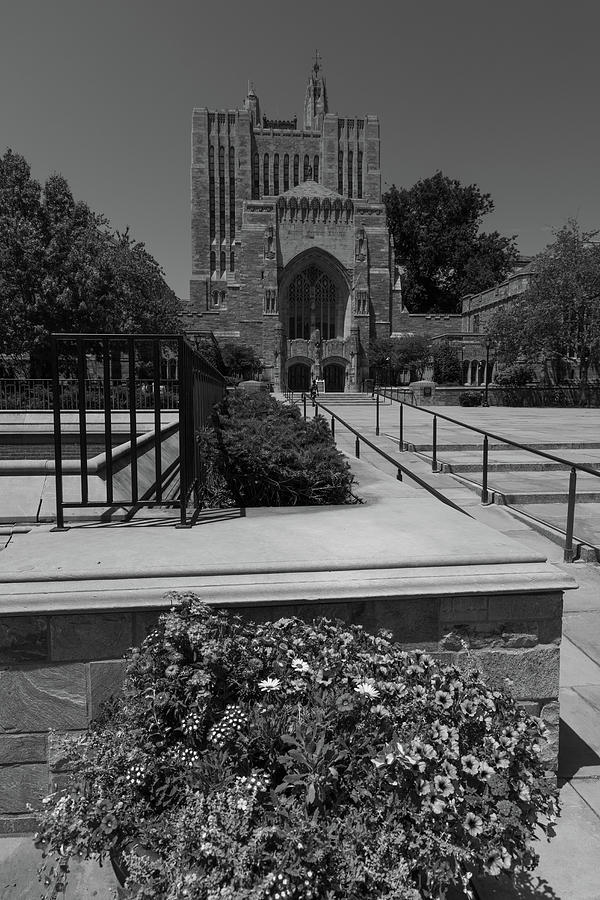 Yale University building with flowers in black and white Photograph by Eldon McGraw