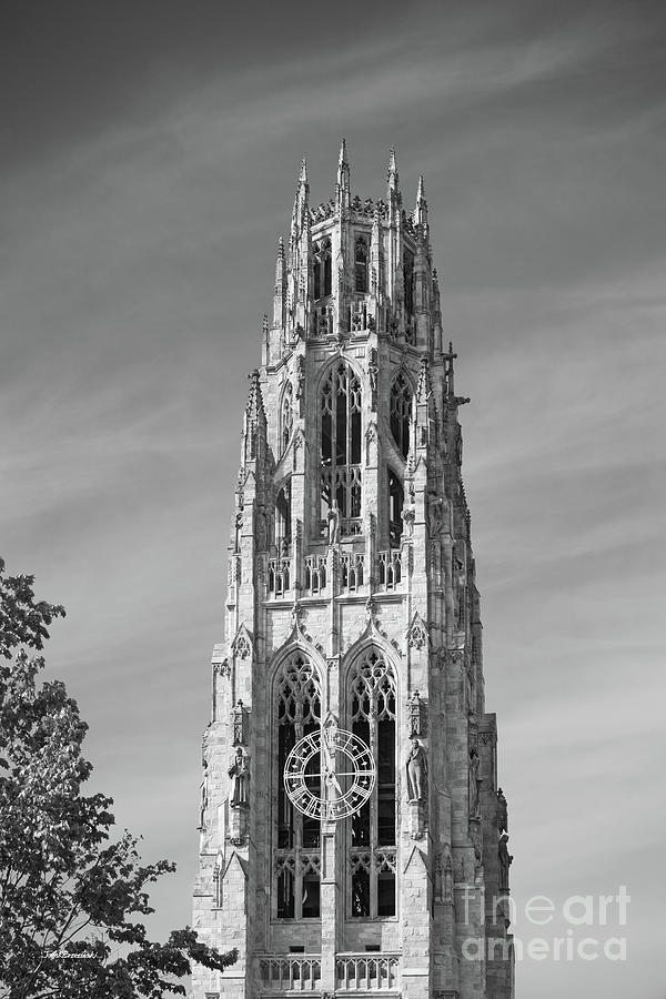 Yale University Harkness Tower Photograph by University Icons