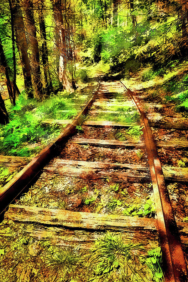 Yankee Horse Railroad Tracks fx Digital Art by Dan Carmichael