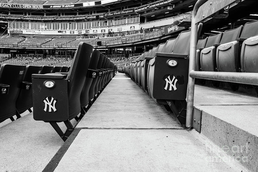 Yankee Seating Chrome Photograph by Len Tauro