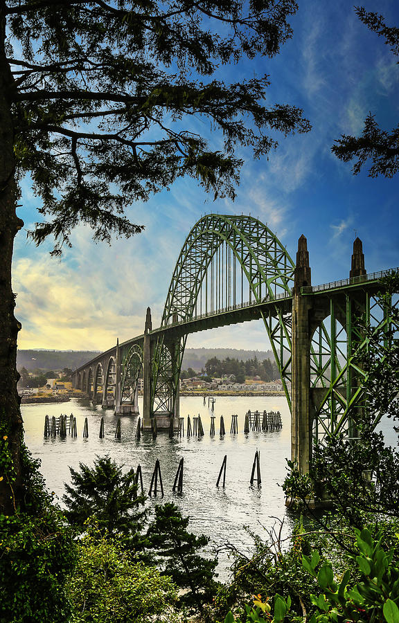 Yaquina Bay Bridge In Amongst The Trees Photograph by Athena Mckinzie