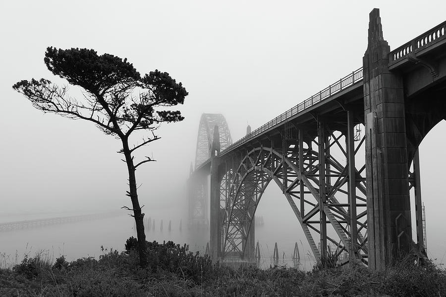 Yaquina Bay Bridge in Fog Photograph by HW Kateley