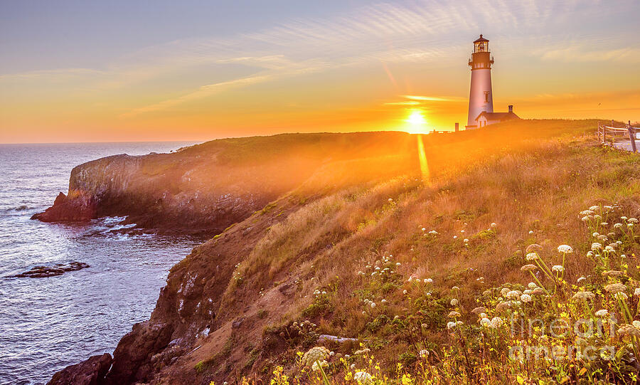 Yaquina Bay Light House Bathes In Gold Photograph by Adam Reisman - Pixels