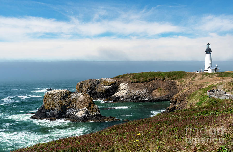 Yaquina Coast and Lighthouse Oregon Photograph by Louise Magno