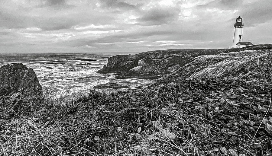 Yaquina Head Photograph by Kevin Lane - Fine Art America