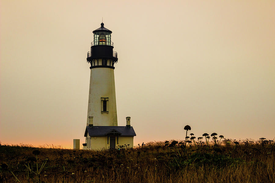Yaquina Head Lighthouse Photograph by Aashish Vaidya