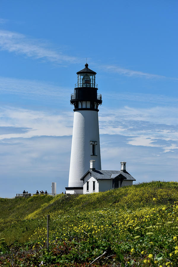 Yaquina Head Lighthouse Photograph by Anne Myers - Pixels