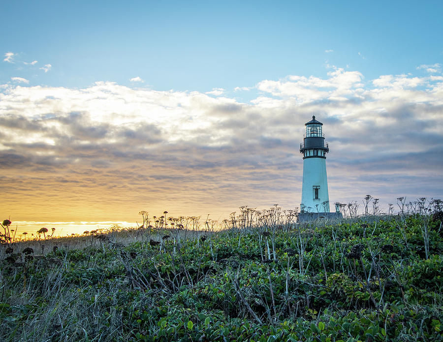 Yaquina Head Lighthouse at Sunset Photograph by Gerri Bigler