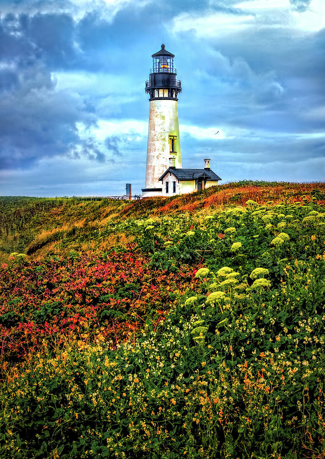 Lighthouse Photograph - Yaquina Head Lighthouse by Carolyn Derstine