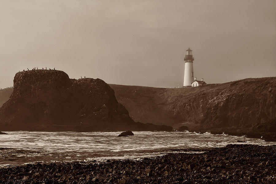 Yaquina Head Lighthouse In Sepia Photograph