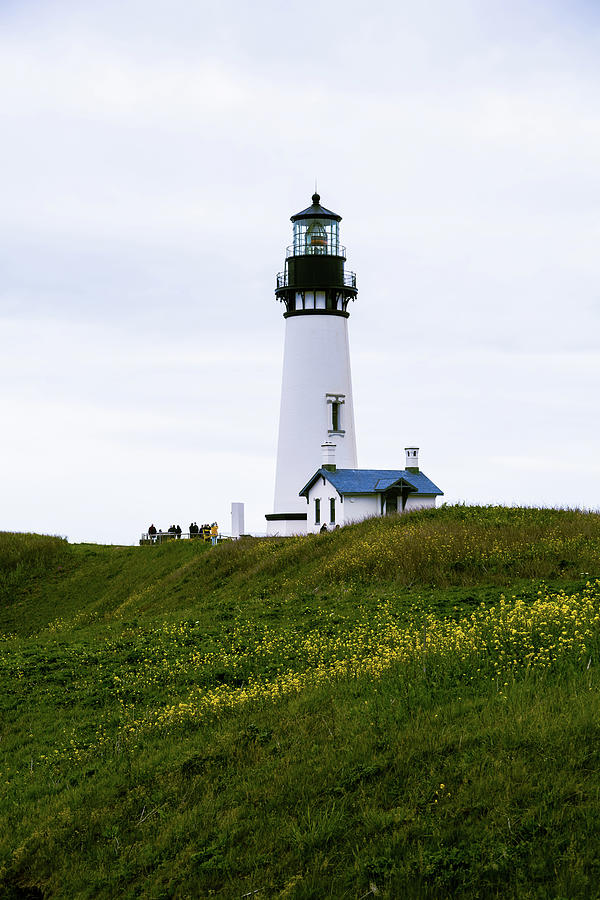 Yaquina Head Lighthouse, Oregon Photograph by Aashish Vaidya
