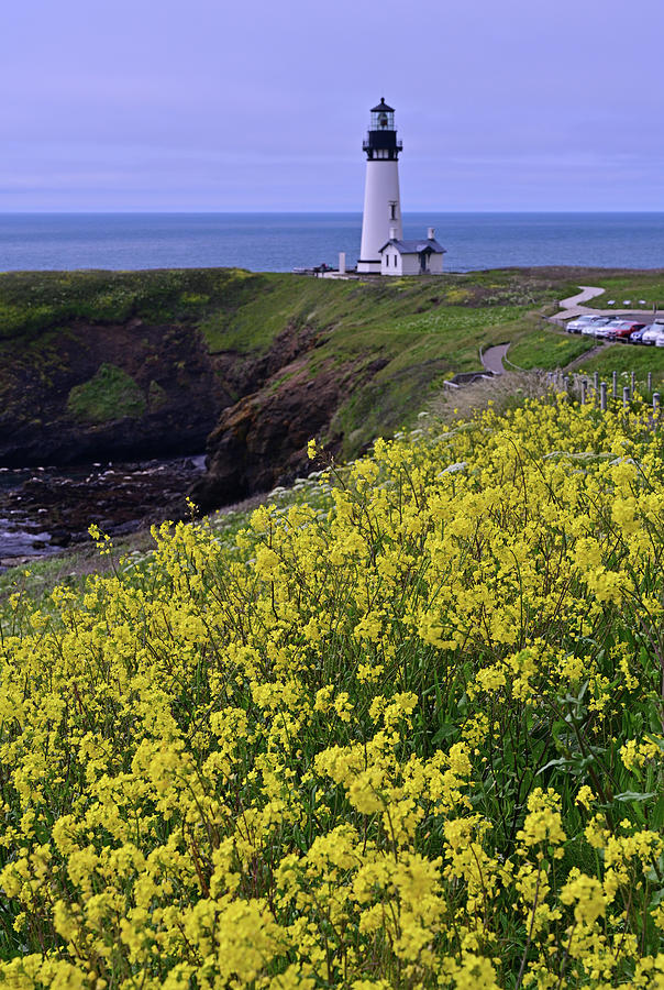 Yaquina Head Outstanding Natural Area Photograph by Ben Prepelka