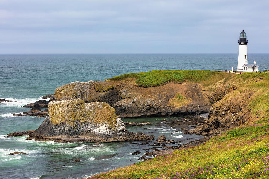 Yaquina Lighthouse on the Oregon coast Photograph by Mike Centioli
