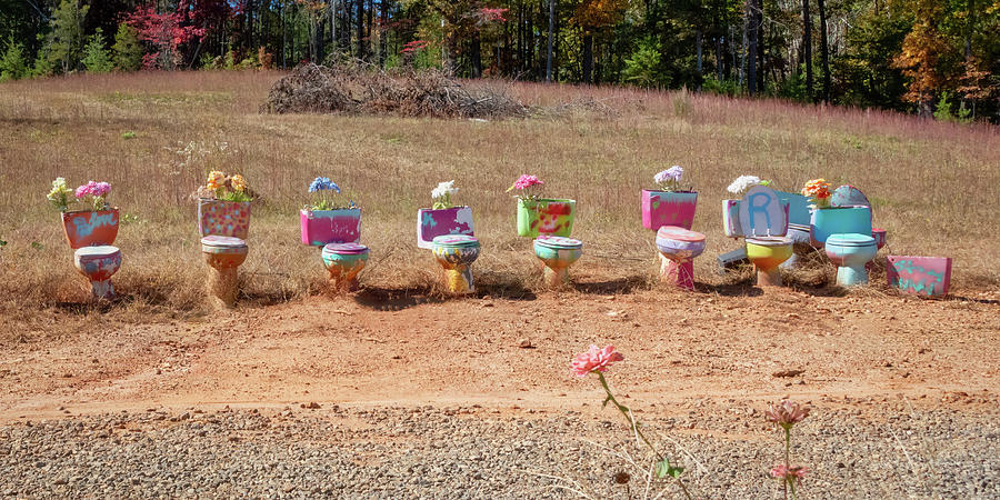 Yard Art - Flowers - North Carolina - 1 Photograph by John Kirkland