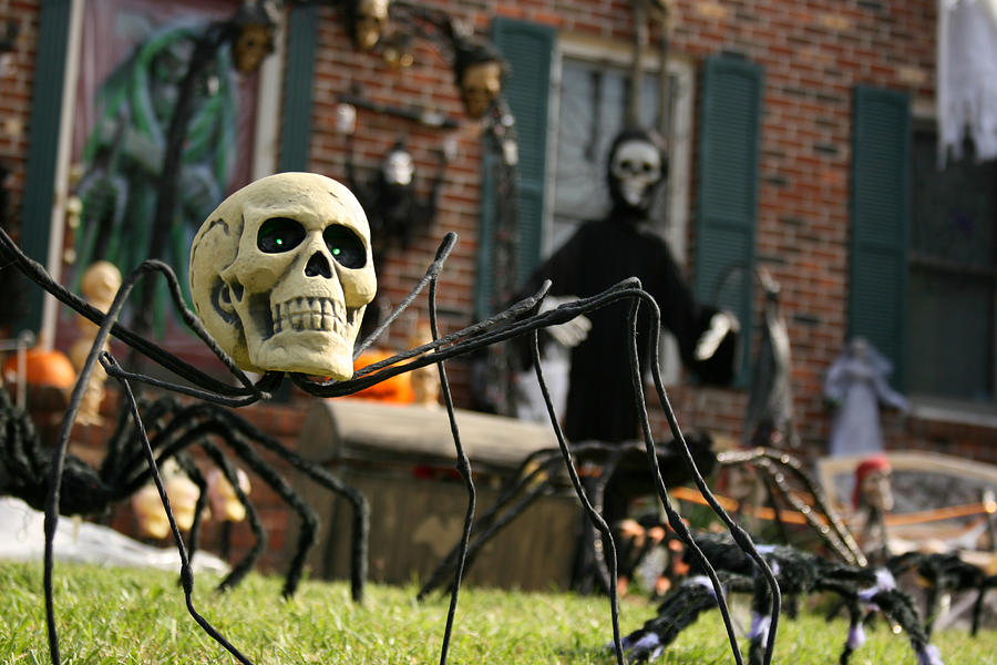 Yard decorated for Halloween Photograph by Ktaylorg