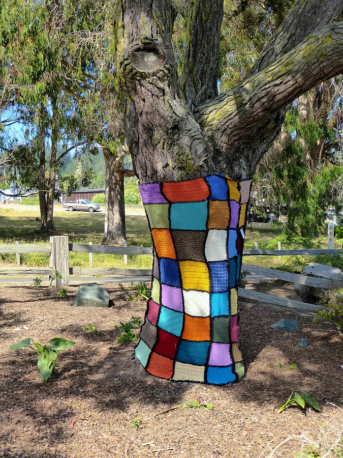 Yarn Bombing Photograph by Connie Spinardi