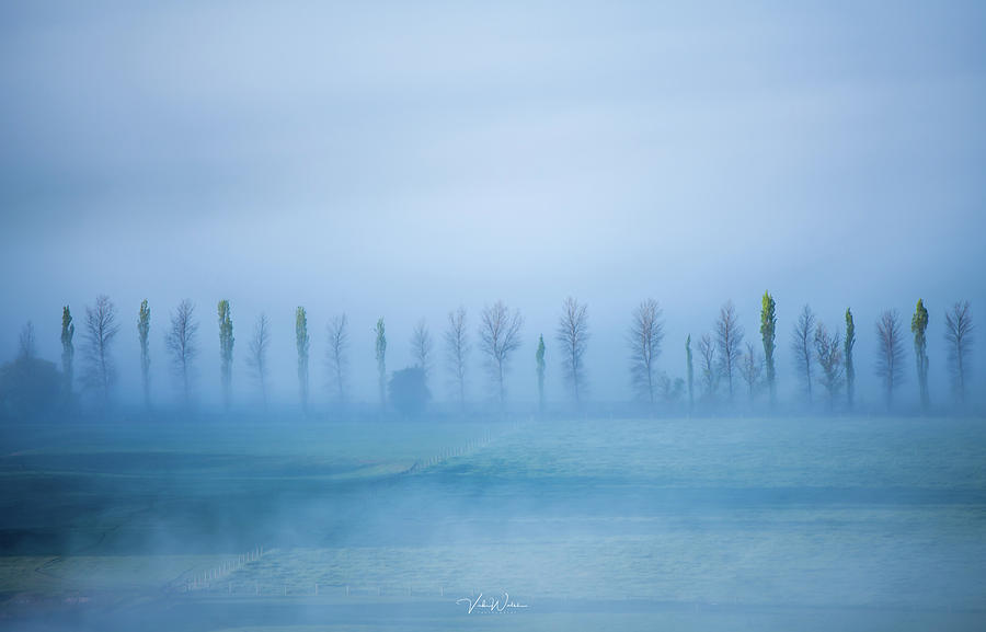 Landscape Photograph - Yarra Valley Mist by Vicki Walsh