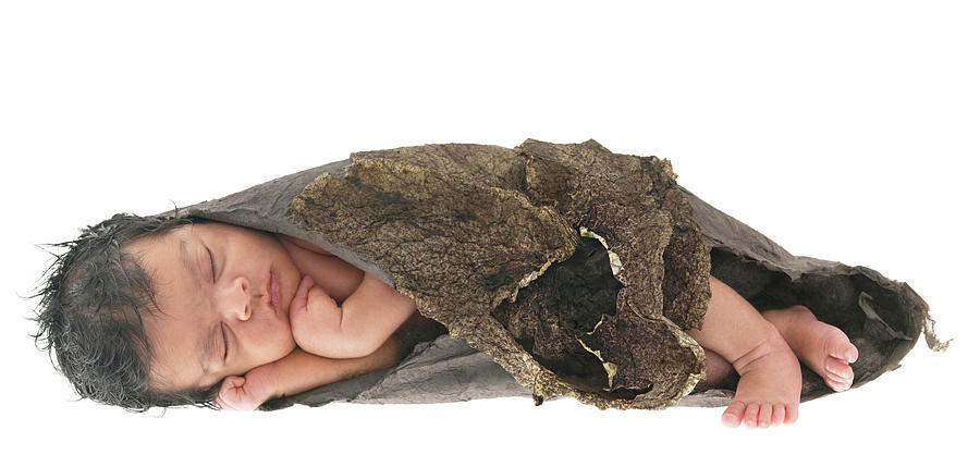 Yash as a Cocoon Photograph by Anne Geddes