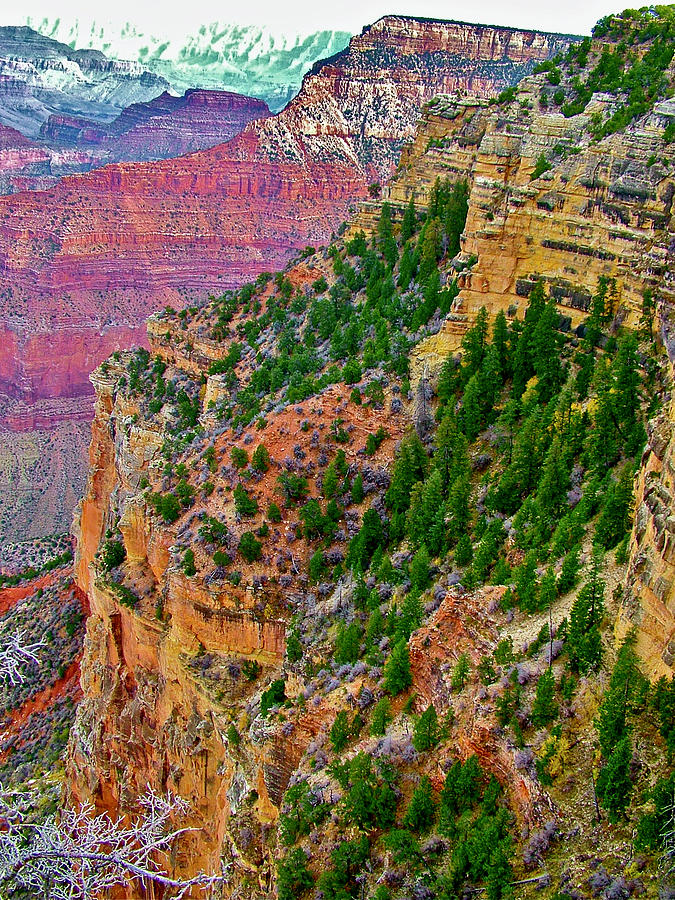 Grand Canyon National Park Photograph - Yavapai Point View on South Rim, Grand Canyon National Park, Arizona  by Ruth Hager