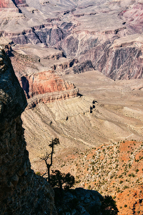 Yavapai View - Grand Canyon Photograph by Stuart Litoff