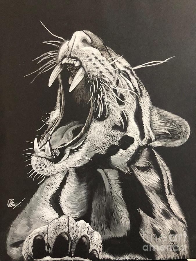 Tiger pencil drawing  Realistic pencil drawings  Drawings  Illustration  Animals Birds  Fish Wild Cats Tigers  ArtPal