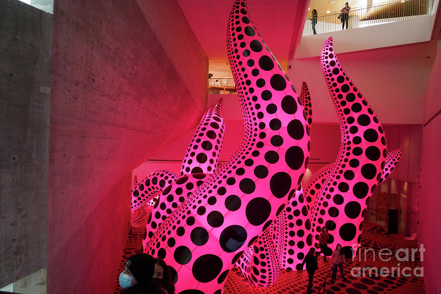 Yayoi Kusama exhibition a40 Photograph by Vladi Alon - Fine Art America