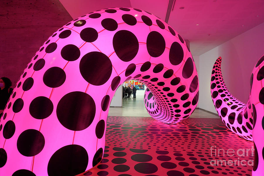 Yayoi Kusama exhibition a44 Photograph by Vladi Alon - Fine Art America