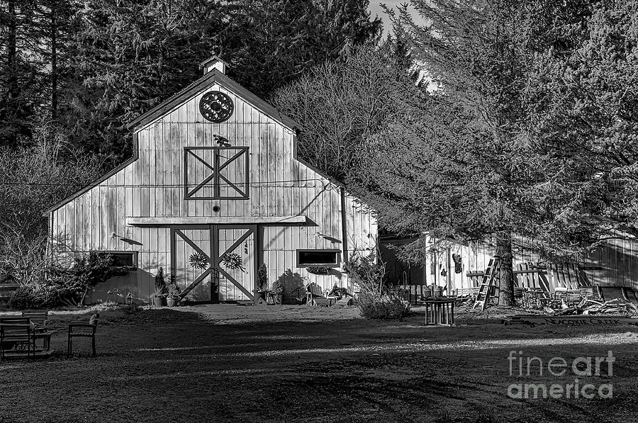 Ye Old Livery Stable Photograph By Brenton Cooper Pixels   Ye Old Livery Stable Brenton Cooper 