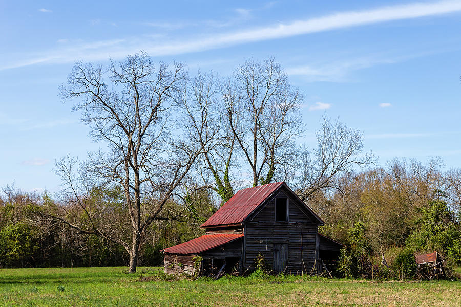 Ye Olde Barn in Peach Country Photograph by Charles Hite