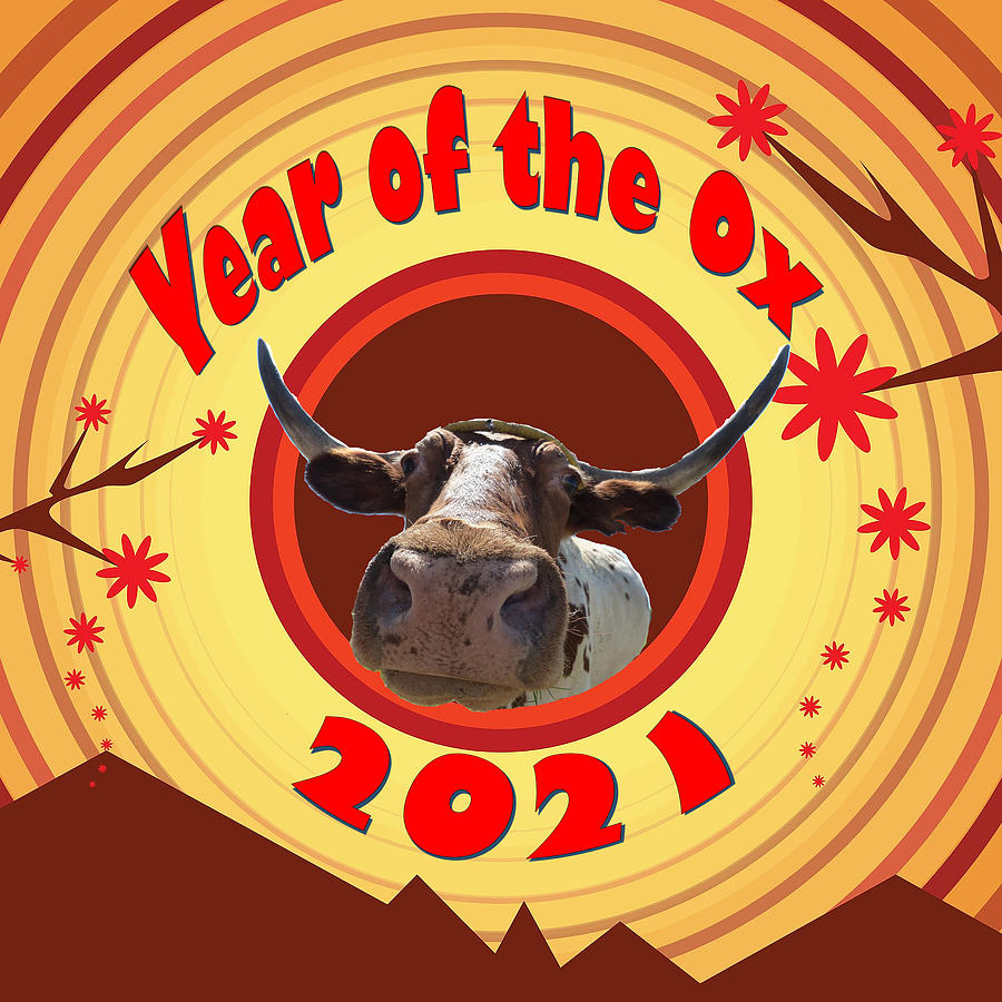 Year of the Ox Digital Art by Ali Baucom
