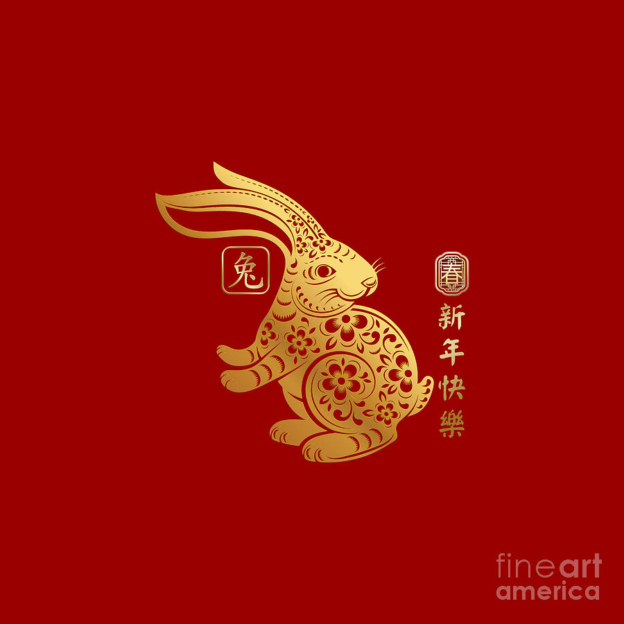 Year Of The Rabbit Chinese New Year 2023 Digital Art by Lai Khanh Nghia ...