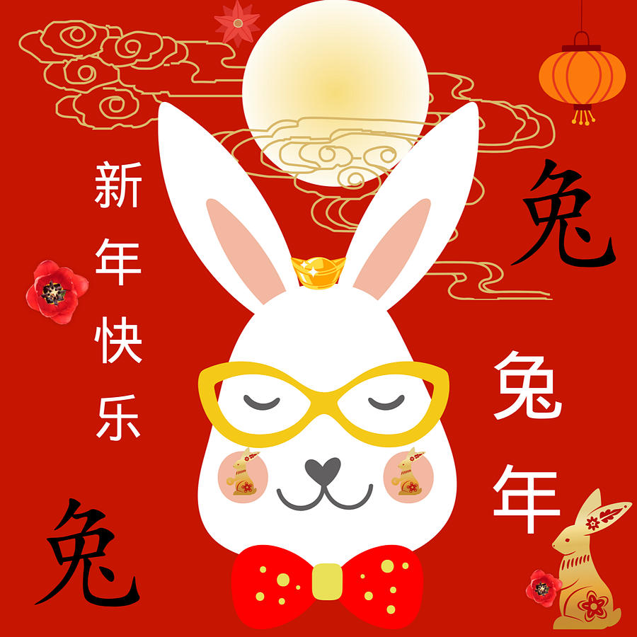 Year of The Rabbit Graphic Design Mixed Media by Universe Grace - Pixels