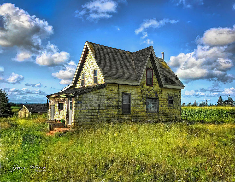 Yellow Abandoned House Photograph by Moore