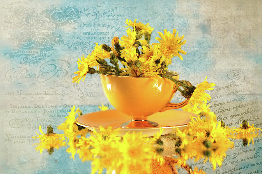 Yellow Abundance Photograph by Randi Grace Nilsberg