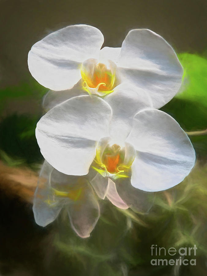 Yellow Admiration Digital Art by Amy Dundon Yellow Admiration Digital Art by Amy Dundon