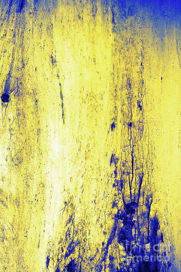 Yellow and Blue Photograph by Elaine Teague