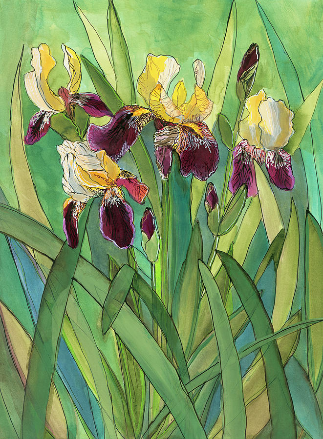 Iris Painting - Yellow and Burgundy Iris by Cynthia Young