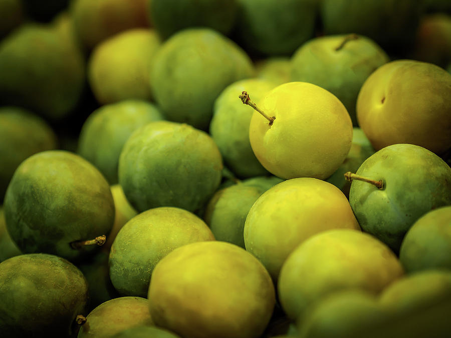 Yellow and Green Plums Photograph by Luis Vasconcelos