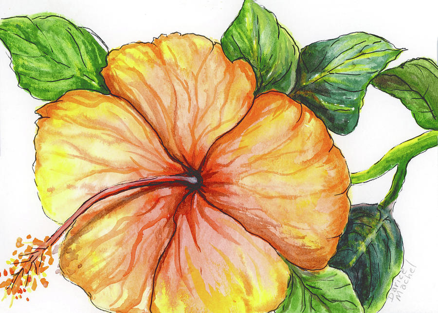 Yellow and Orange Hibiscus Painting by Darice Machel McGuire