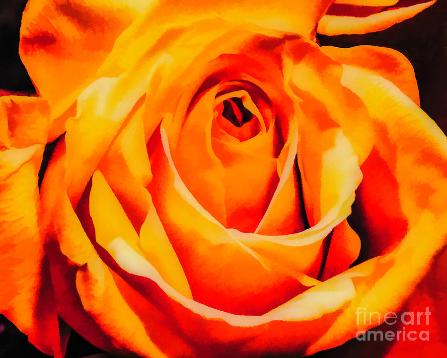 Yellow And Orange Impressionistic Rose Photograph by Frances Ann Hattier