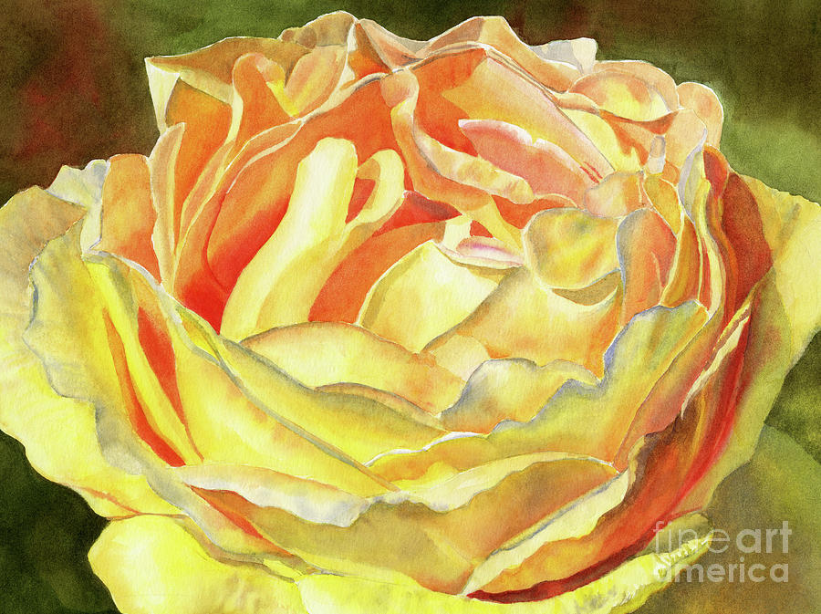 Yellow and Orange Rose Blossom Painting by Sharon Freeman