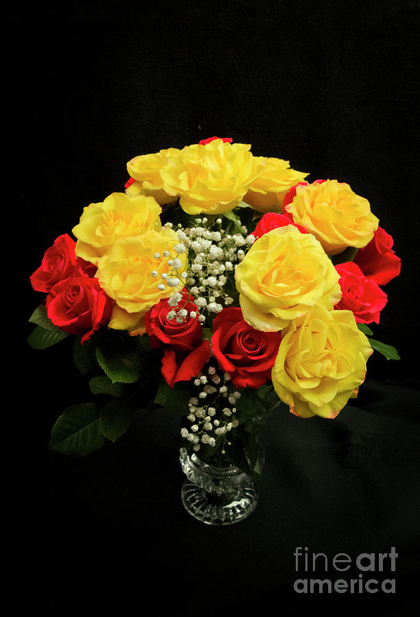 Yellow and Orange Roses Photograph by Louise Magno