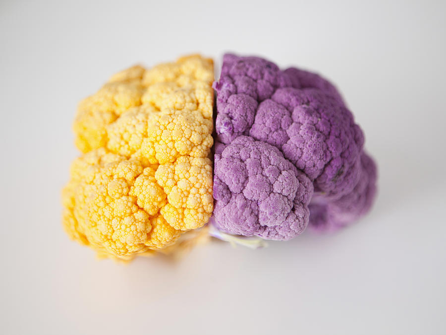 Yellow and purple cauliflower, studio shot Photograph by Jessica Peterson