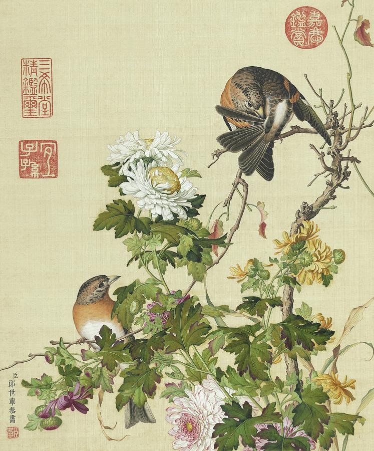 Yellow and white chrysanthemums and birds - Chinese flower and bird paintings Painting by Giuseppe Castiglione Lang Shining