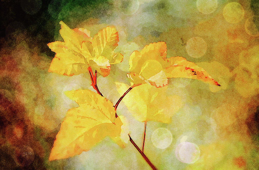 Yellow Autumn Leaves with Bokeh Lights  Mixed Media by Shelli Fitzpatrick