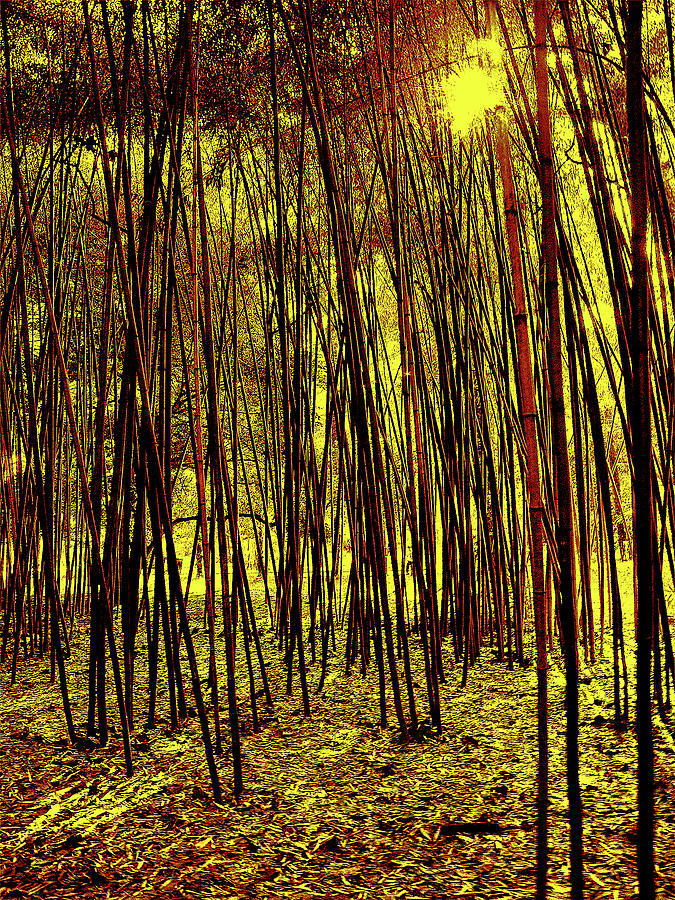Yellow Bamboo Digital Art